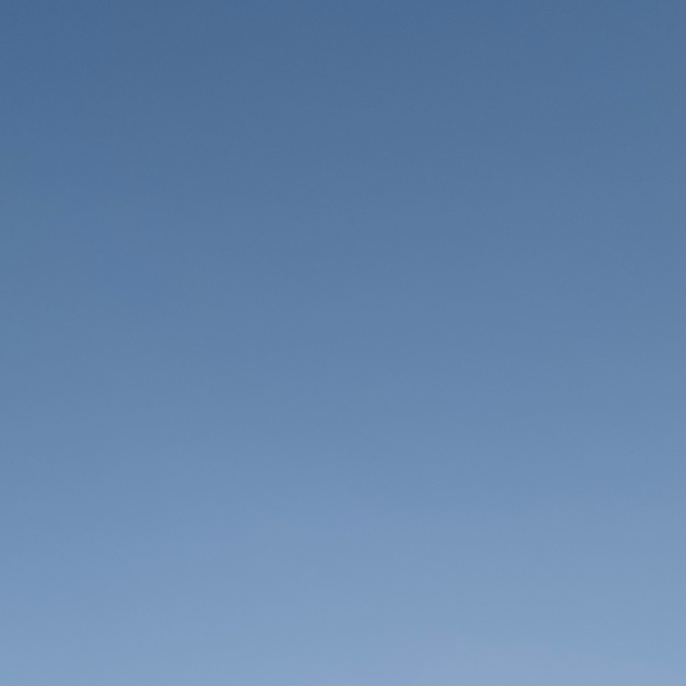 Meet your Posher, Ella